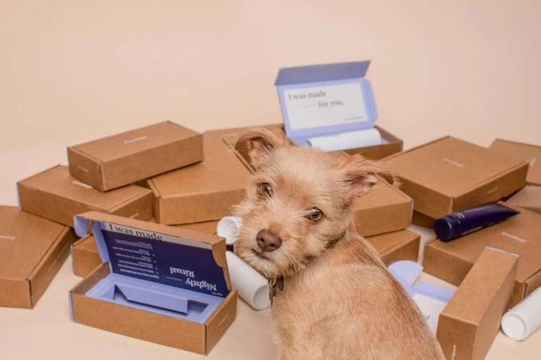How to Create PR Packages (And Make Them Successful)